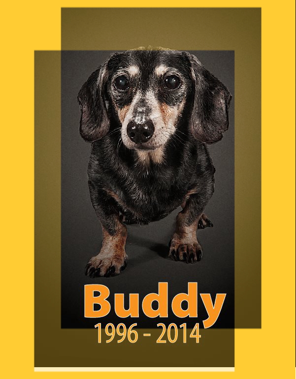 buddy2014.jpg