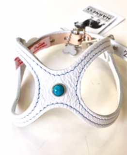 Buddy Belts 水色 ハーネスリード 新品 バディベルト リードセット