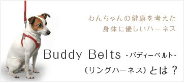 Buddy Belts‐バディーベルト‐（リングハーネス）とは？わんちゃんの健康を考えた 身体に優しいハーネス