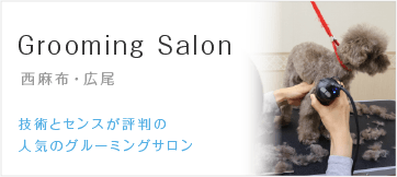 Grooming Salon 西麻布・広尾にある技術とセンスが評判の 人気のグルーミングサロン