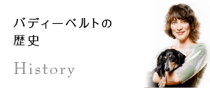 バディーベルトの歴史