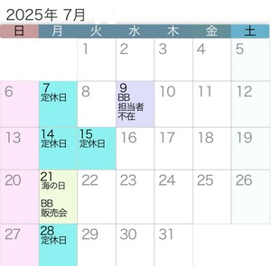 2025.7.jpg