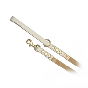 商品画像（アクセントリードS）